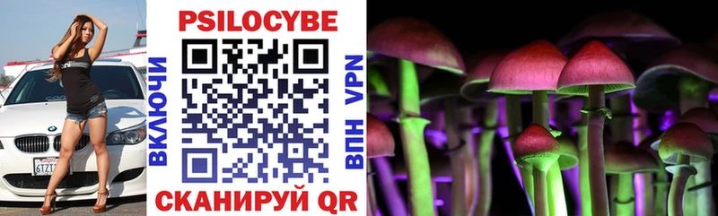 где продают наркотики  Дубна  Галлюциногенные грибы мицелий 