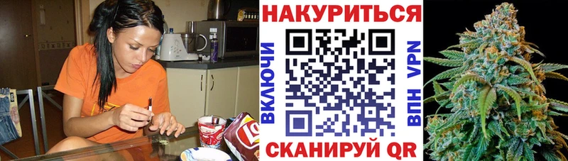 Канабис сатива Дубна